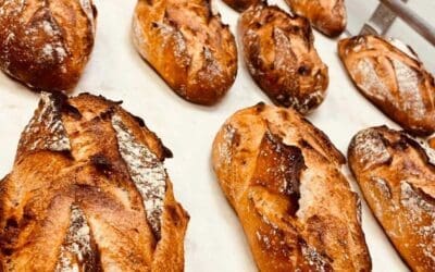 La Pâtisserie Artisanale à Annecy : Découvrez l’Excellence Sucrée avec la Boulangerie Drean